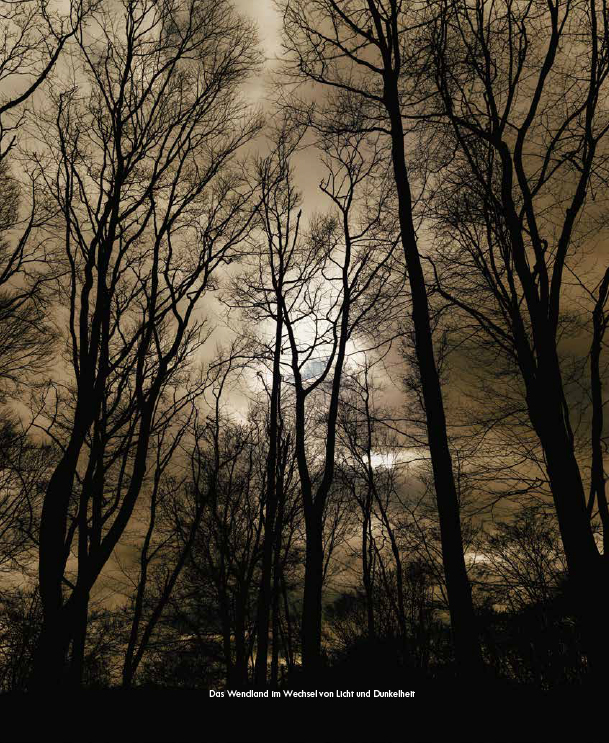 MARZENA SKUBATZ PHOTOGRAPHY