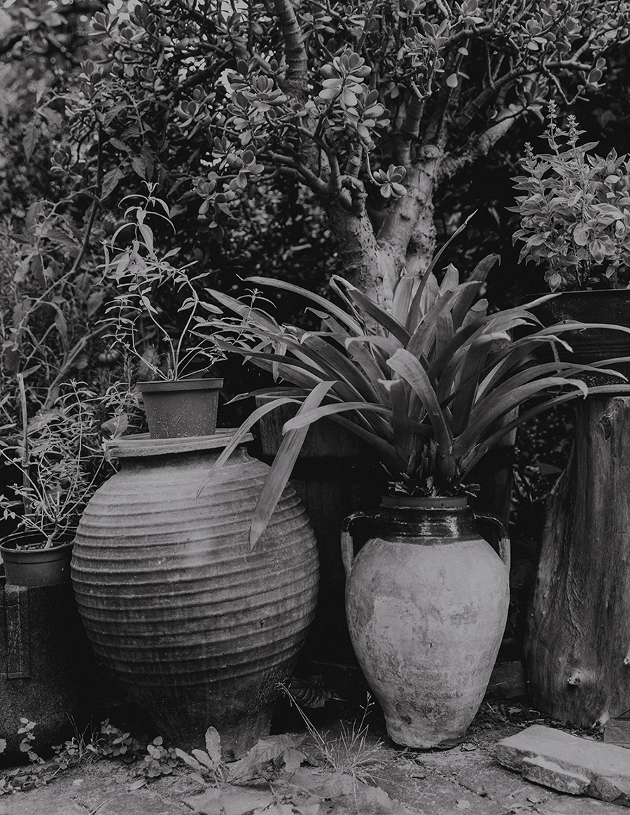 MARZENA SKUBATZ PHOTOGRAPHY