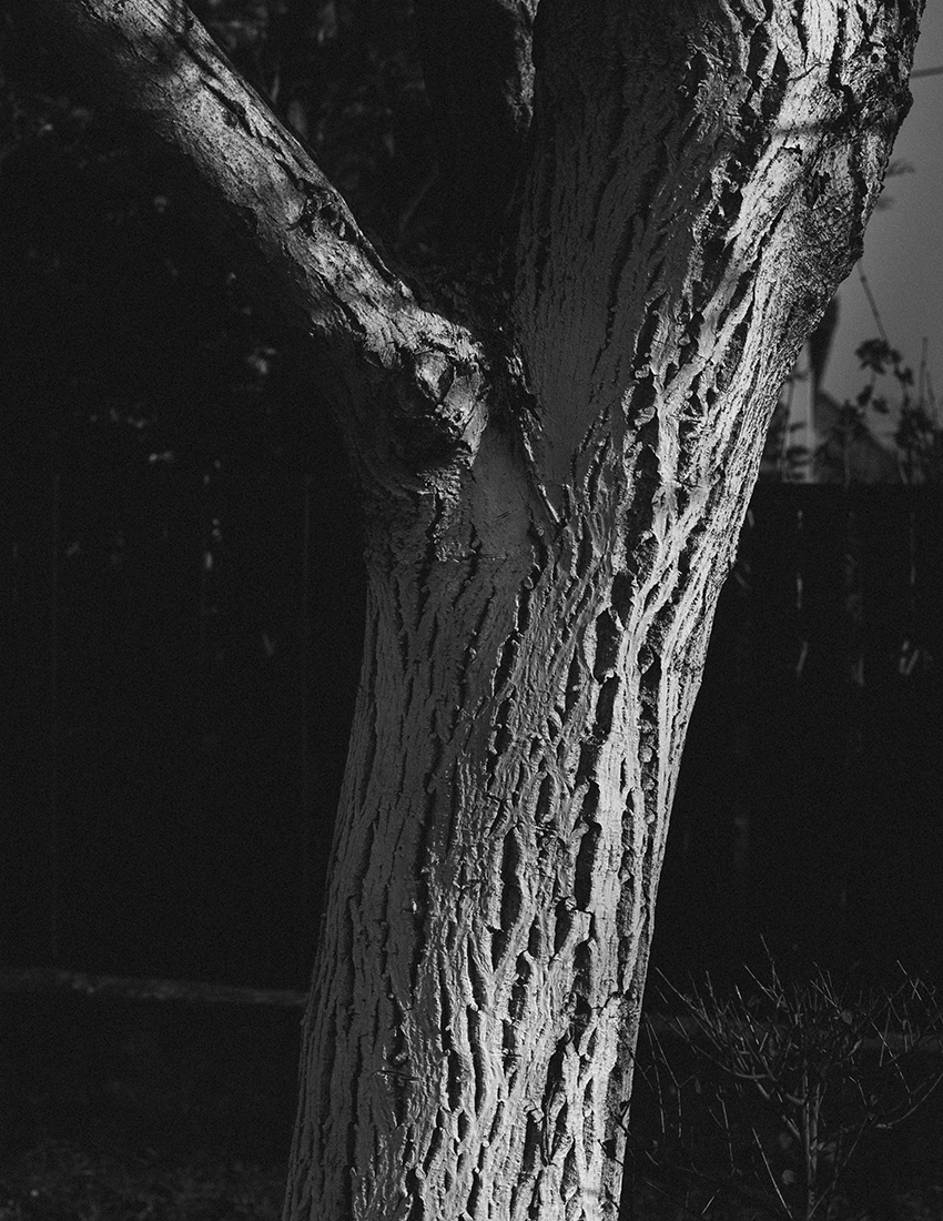 MARZENA SKUBATZ PHOTOGRAPHY