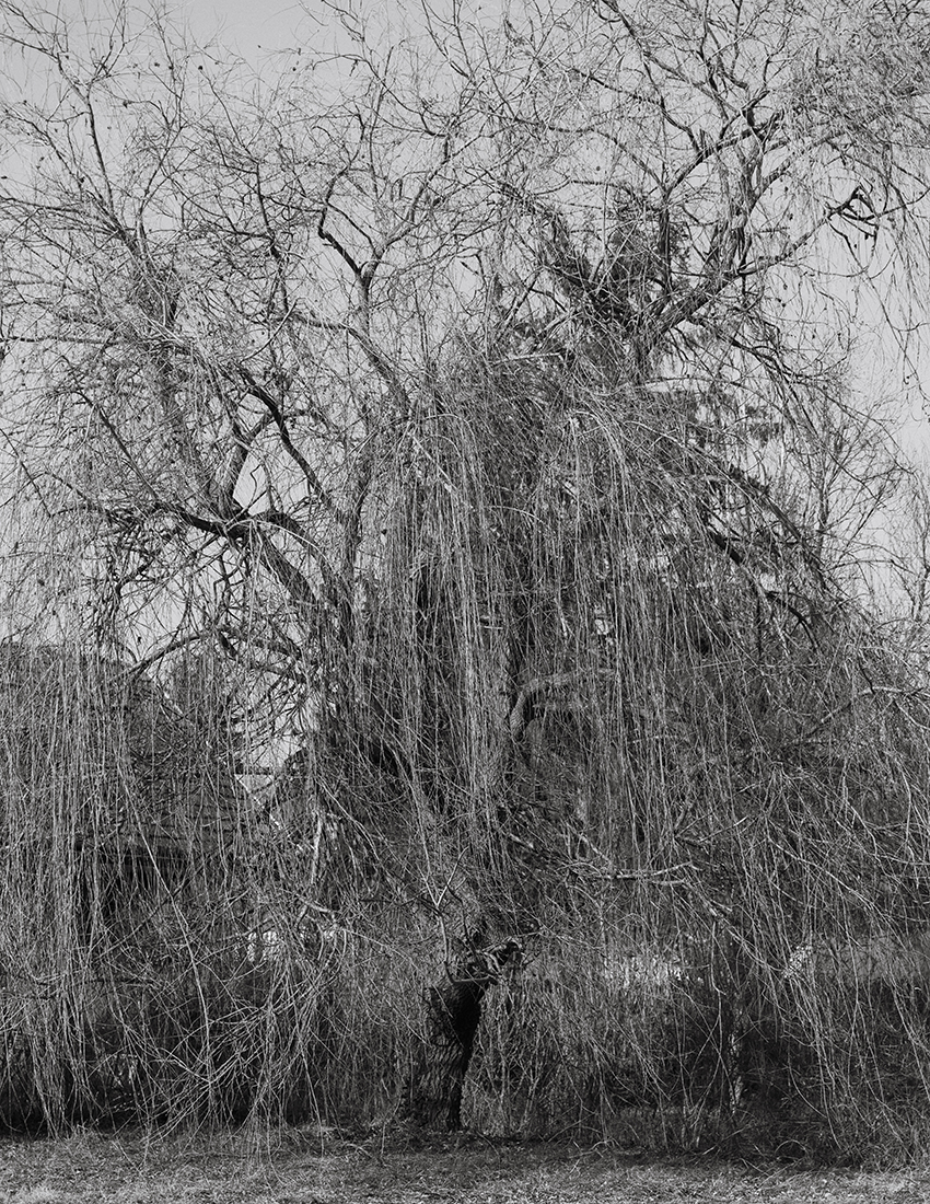 MARZENA SKUBATZ PHOTOGRAPHY