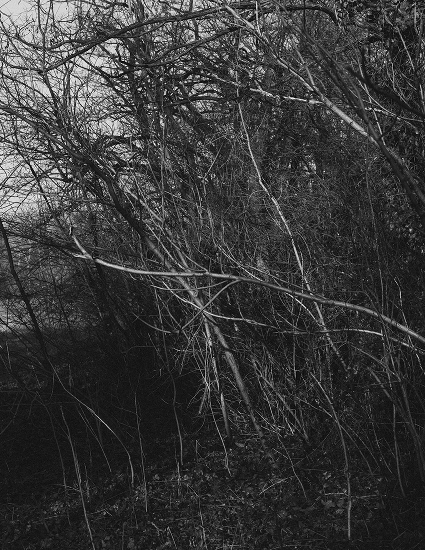 MARZENA SKUBATZ PHOTOGRAPHY