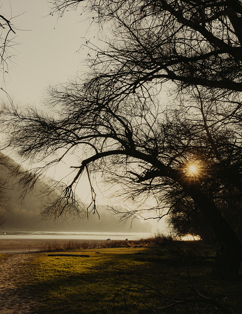 MARZENA SKUBATZ PHOTOGRAPHY