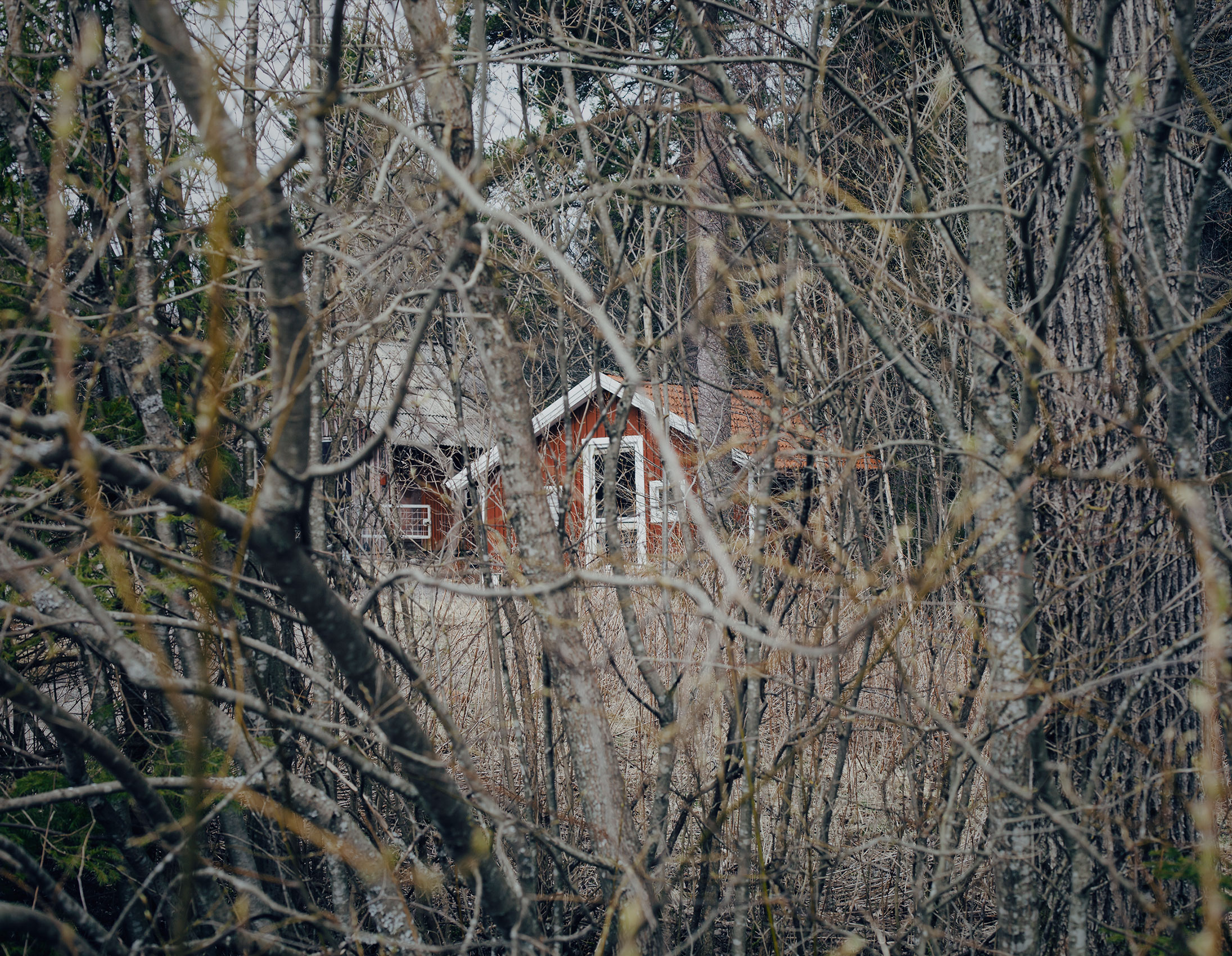 MARZENA SKUBATZ PHOTOGRAPHY