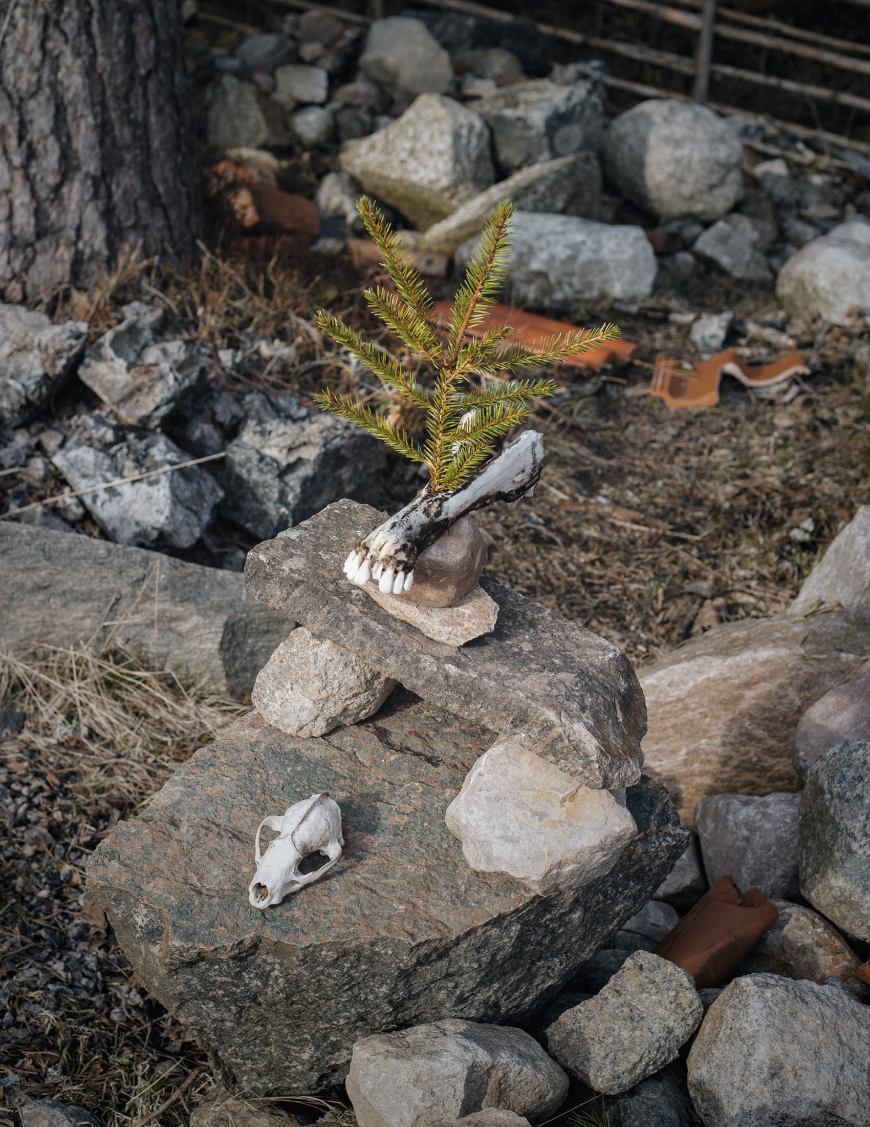 MARZENA SKUBATZ PHOTOGRAPHY