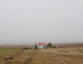 The 