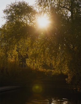 MARZENA SKUBATZ PHOTOGRAPHY
