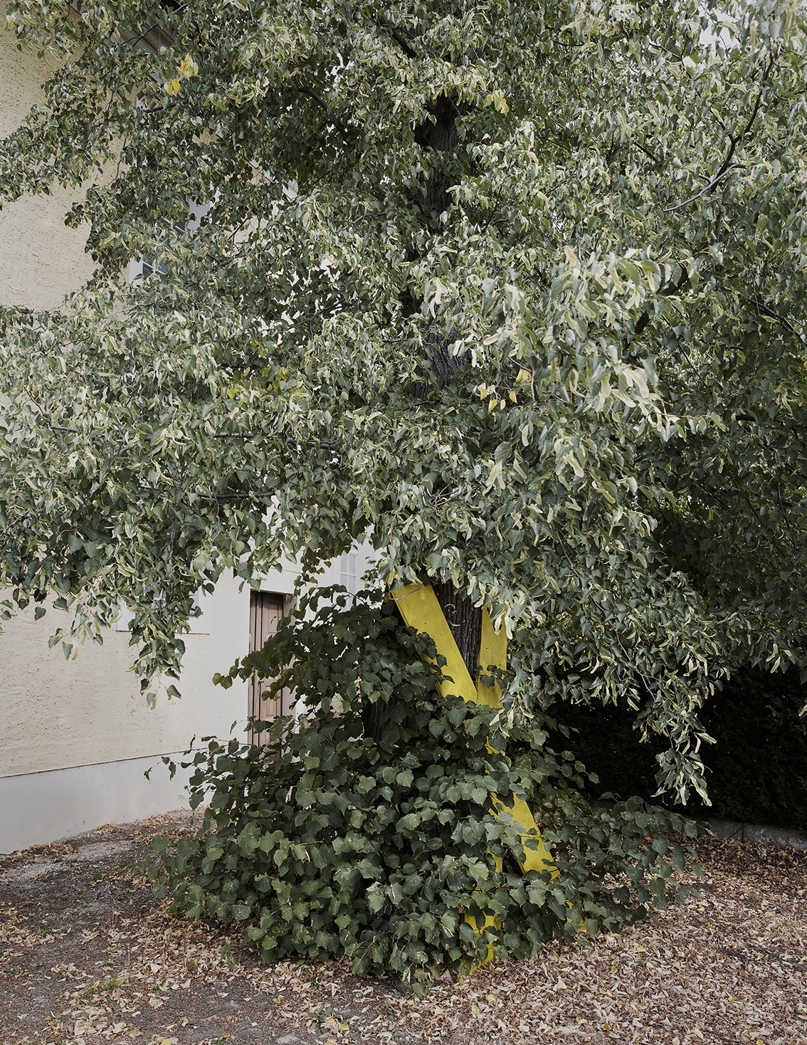 Pödelwitz is a 700-year-old idyllic village with a Romanesque choral tower church , old chestnut trees and half-timbered houses. Of the original 130 inhabitants, only 23 remained after the relocation initiated by MIBRAG. Pödelwitz is a district of the Saxon town of Groitzsch in the district of Leipzig. The site is located in the planned mining area of the open pit United Schleenhain. Pödelwitz has 22 houses and a parish church.