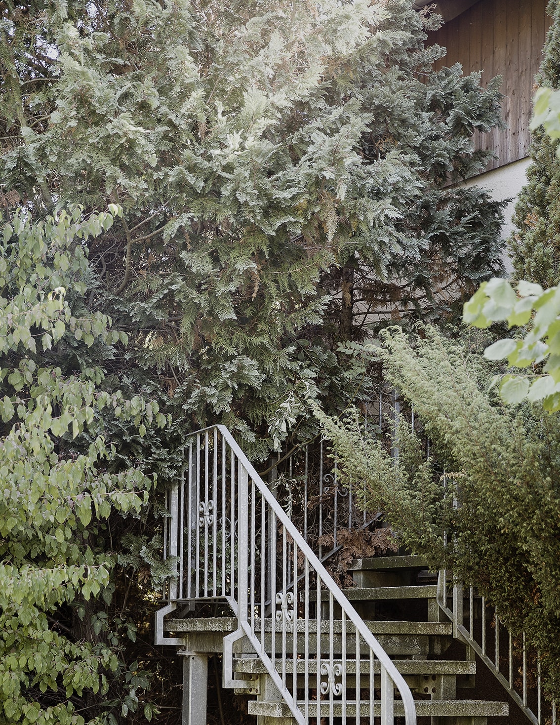 MARZENA SKUBATZ PHOTOGRAPHY