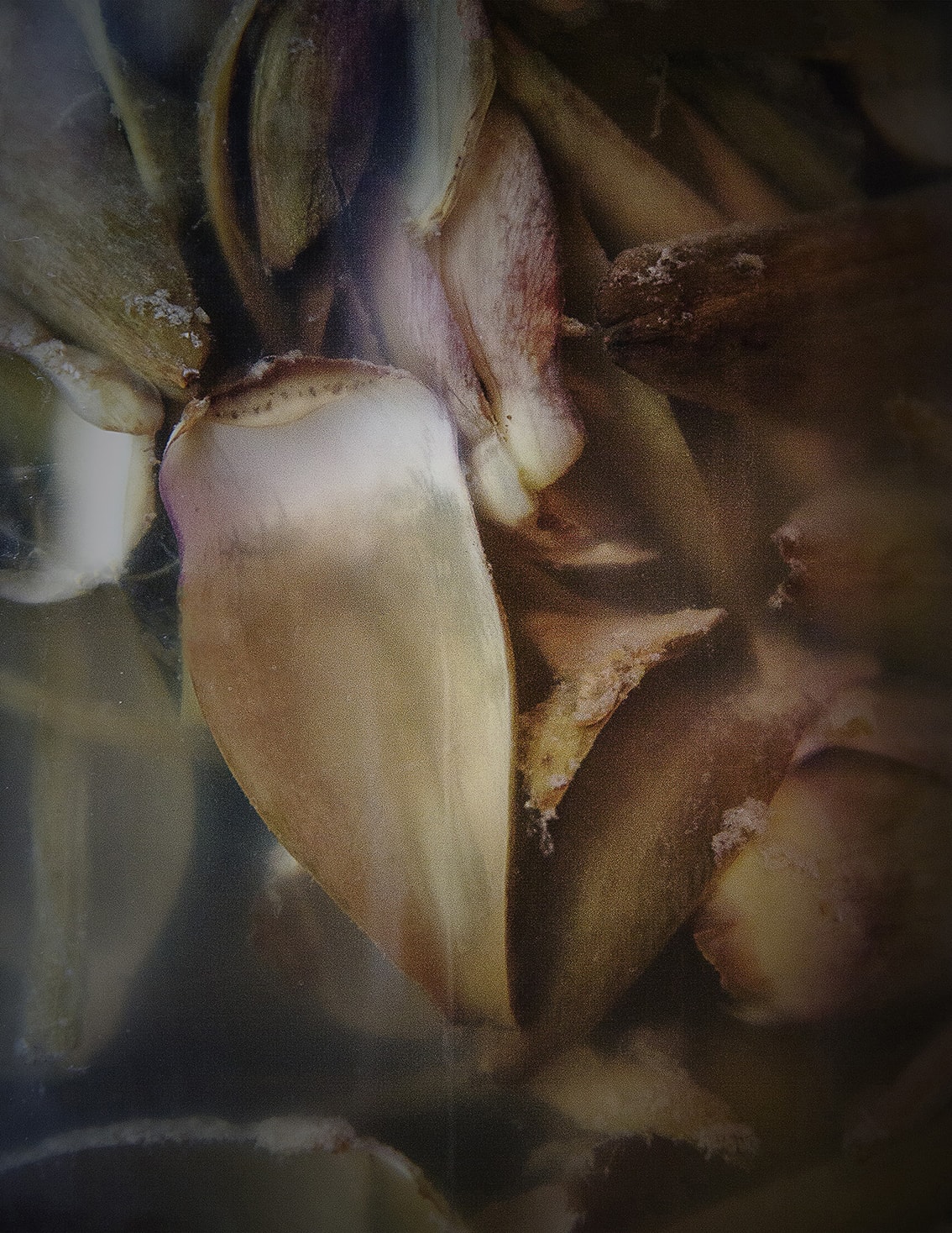 Restaurant „Mrs.Robinson`s“ in Prenzaluer Berg, Berlin. Marzena Skubatz is a professional Photographer based in Berlin and Iceland She is specialized in Visual Storytelling, Documentary, Travel Photogrpahy, Landscape Photography and Portrait