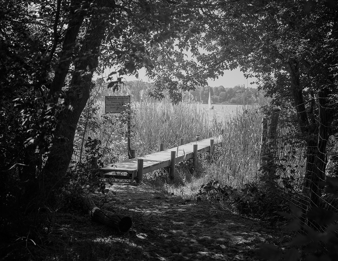 MARZENA SKUBATZ PHOTOGRAPHY