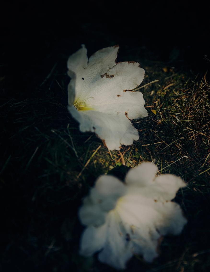 MARZENA SKUBATZ PHOTOGRAPHY