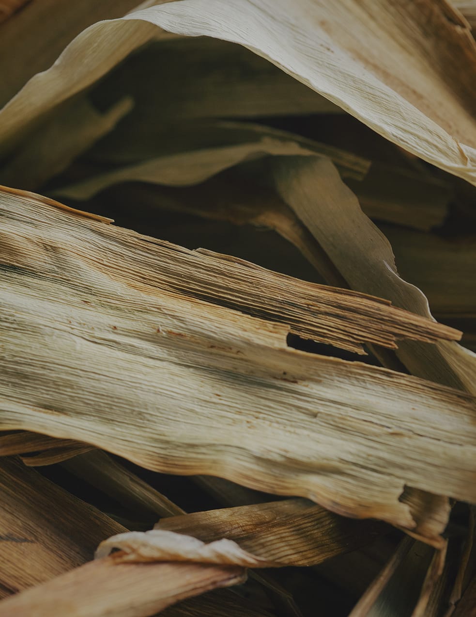 MARZENA SKUBATZ PHOTOGRAPHY