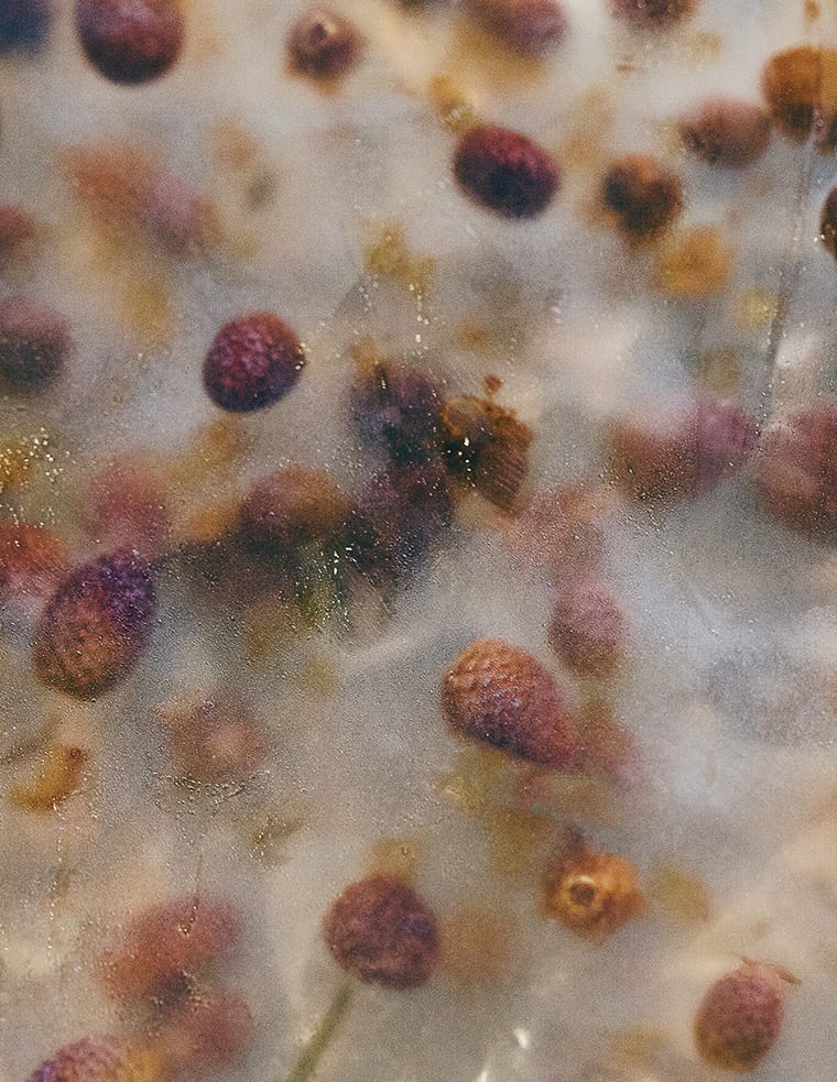 MARZENA SKUBATZ PHOTOGRAPHY