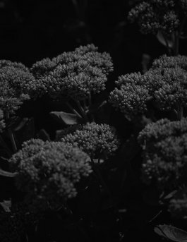 MARZENA SKUBATZ PHOTOGRAPHY