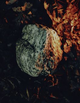 MARZENA SKUBATZ PHOTOGRAPHY