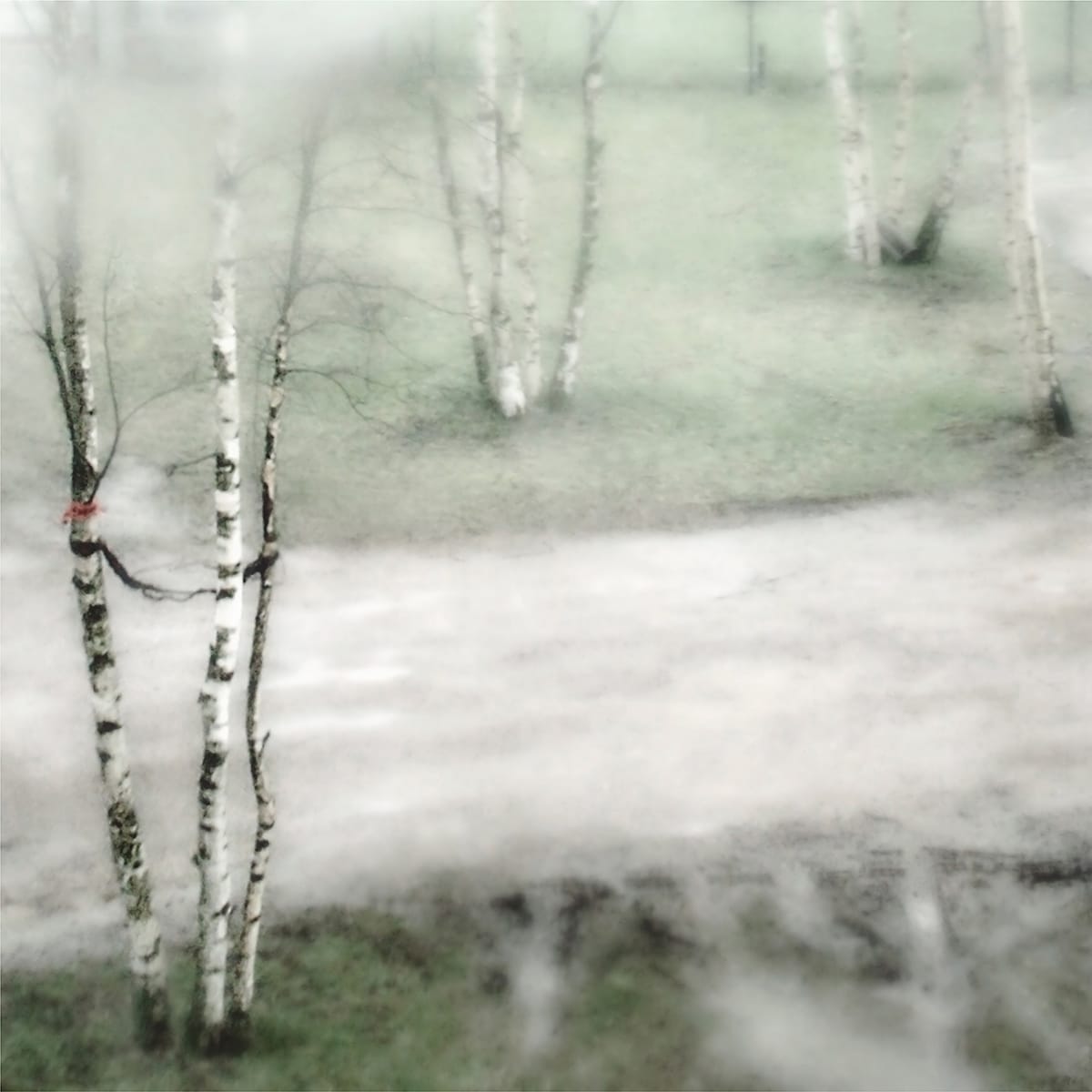 MARZENA SKUBATZ PHOTOGRAPHY