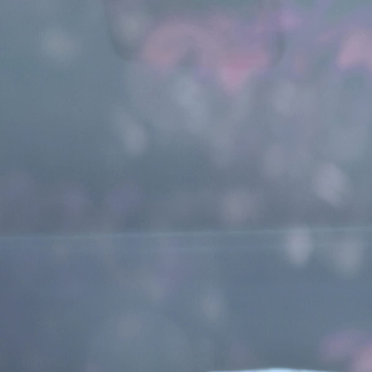 MARZENA SKUBATZ PHOTOGRAPHY