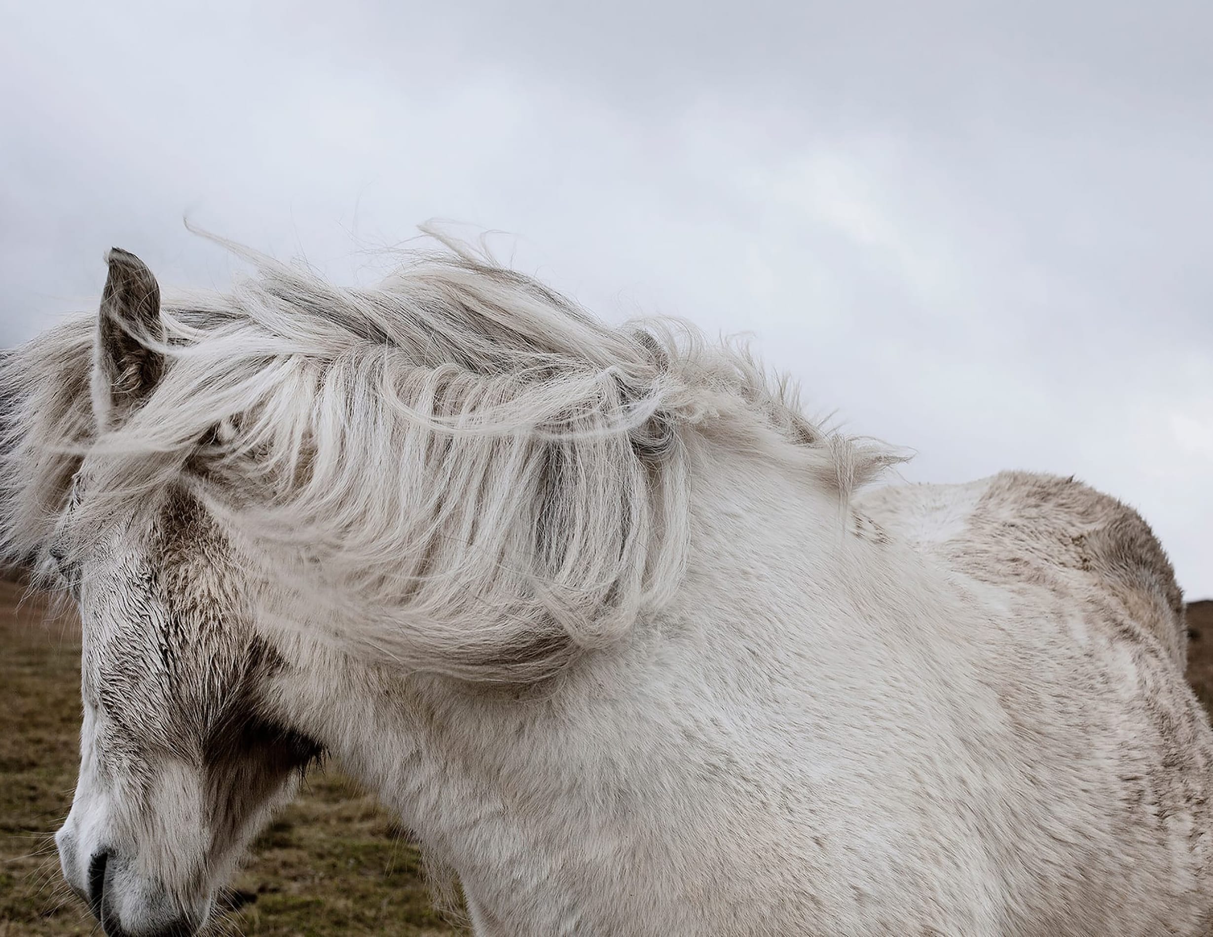 MARZENA SKUBATZ PHOTOGRAPHY
