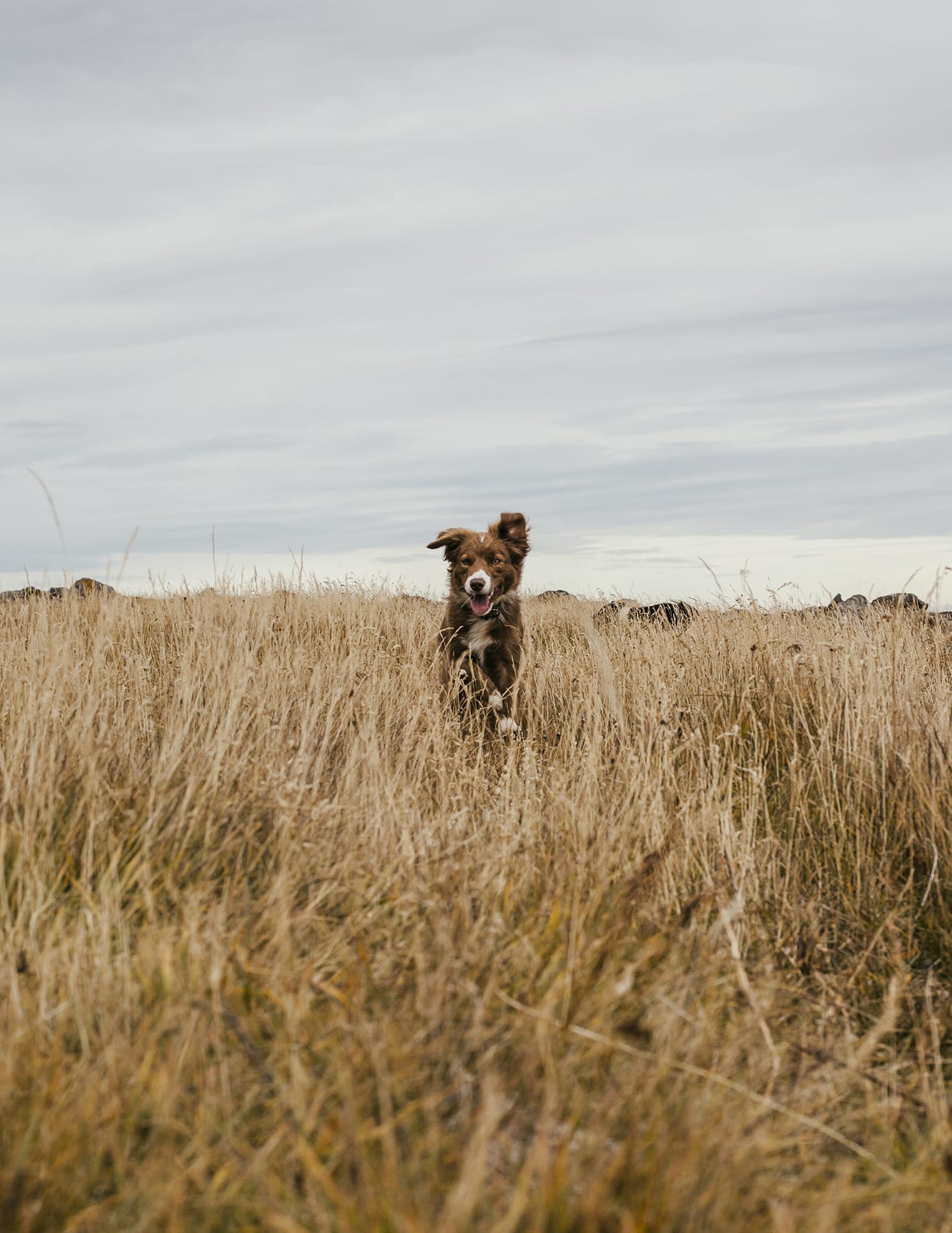 MARZENA SKUBATZ PHOTOGRAPHY