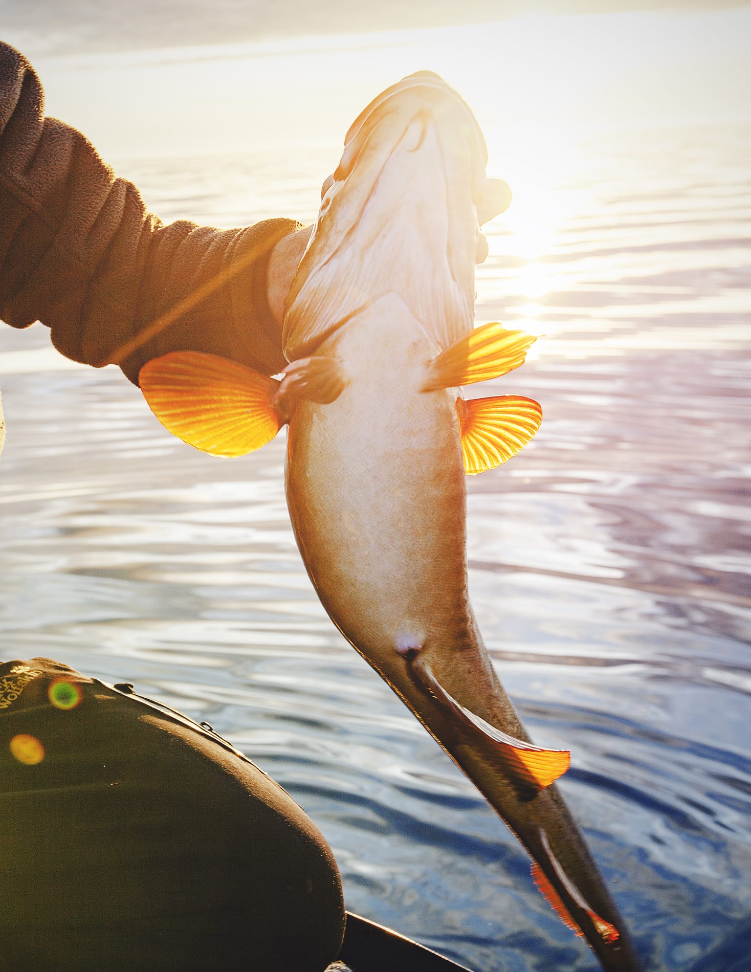 MARZENA SKUBATZ PHOTOGRAPHY