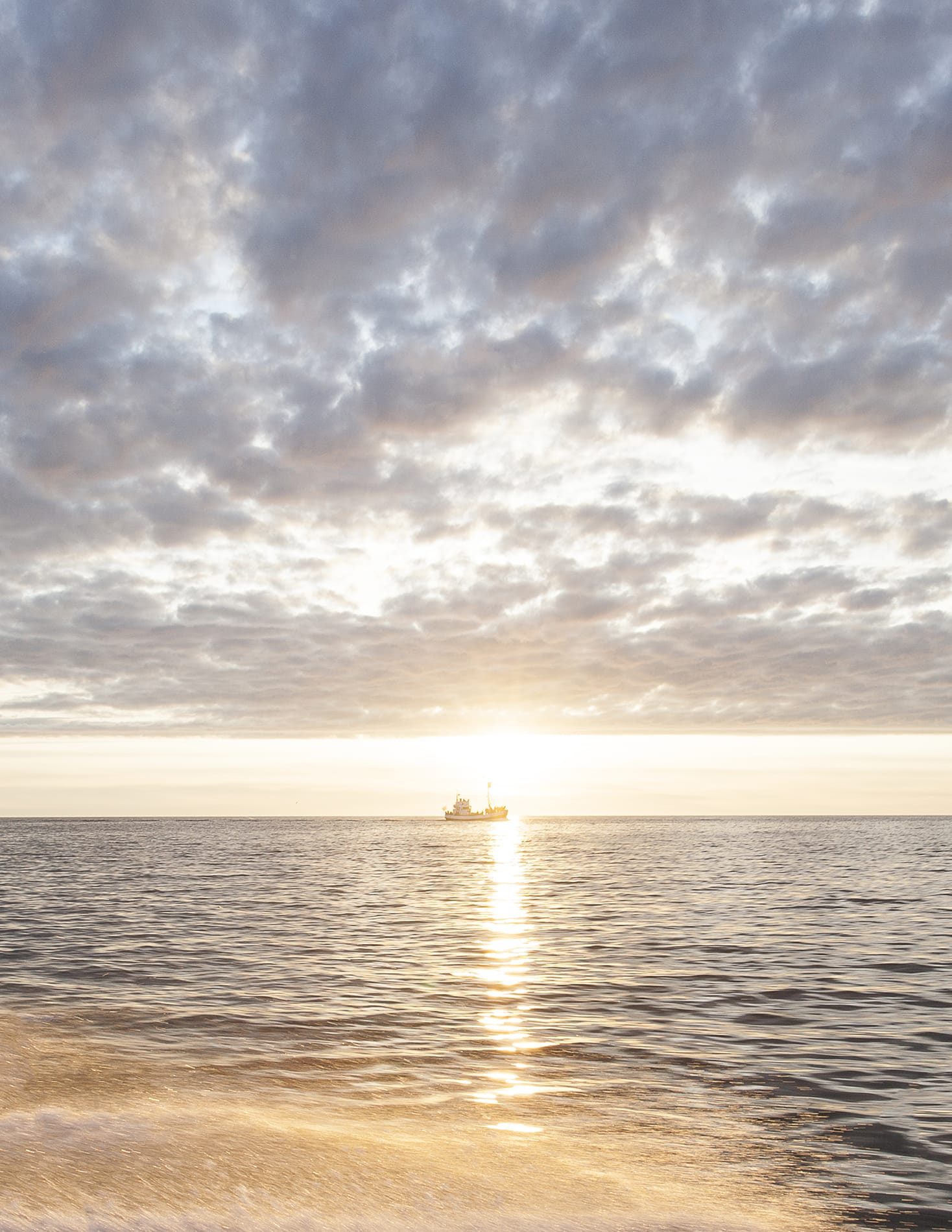 MARZENA SKUBATZ PHOTOGRAPHY