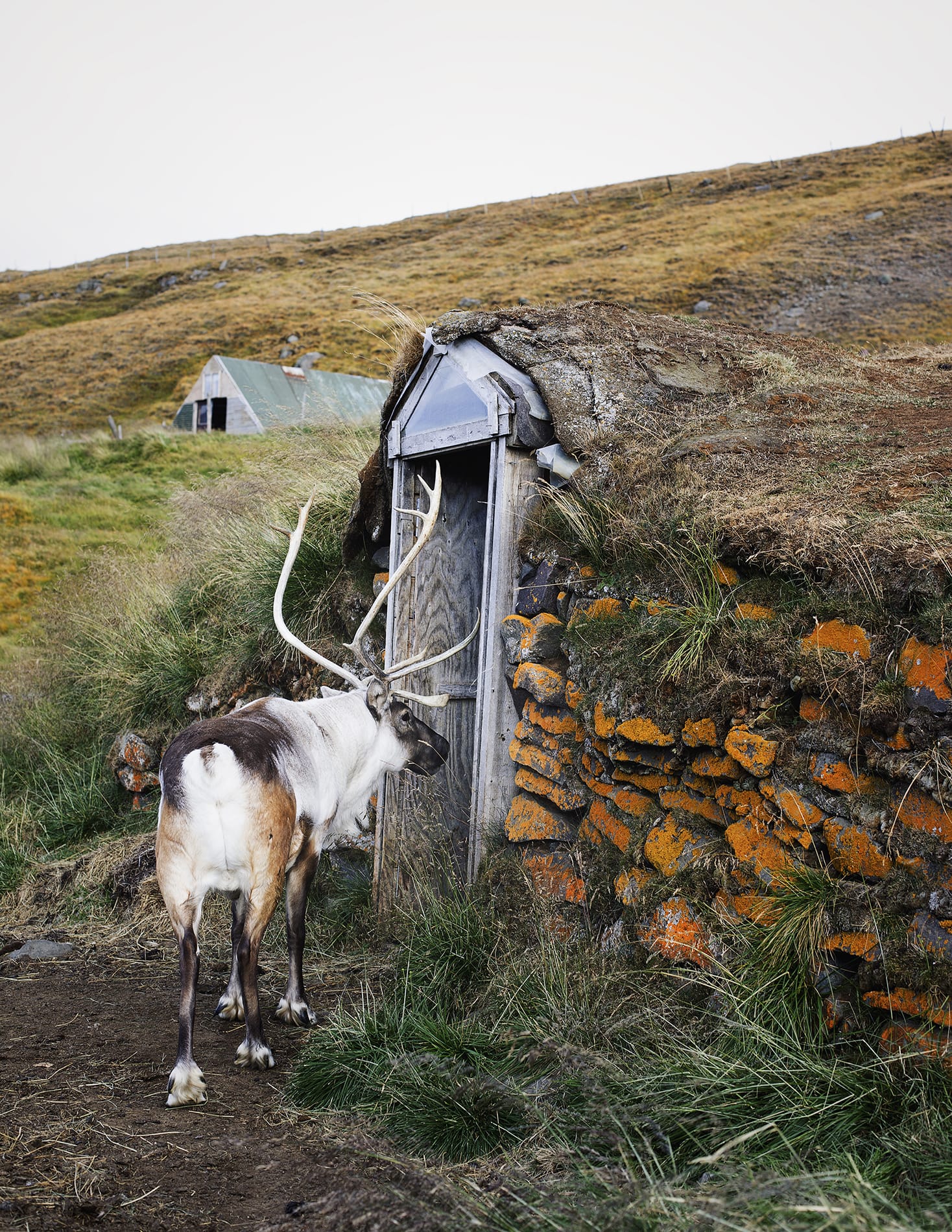 MARZENA SKUBATZ PHOTOGRAPHY