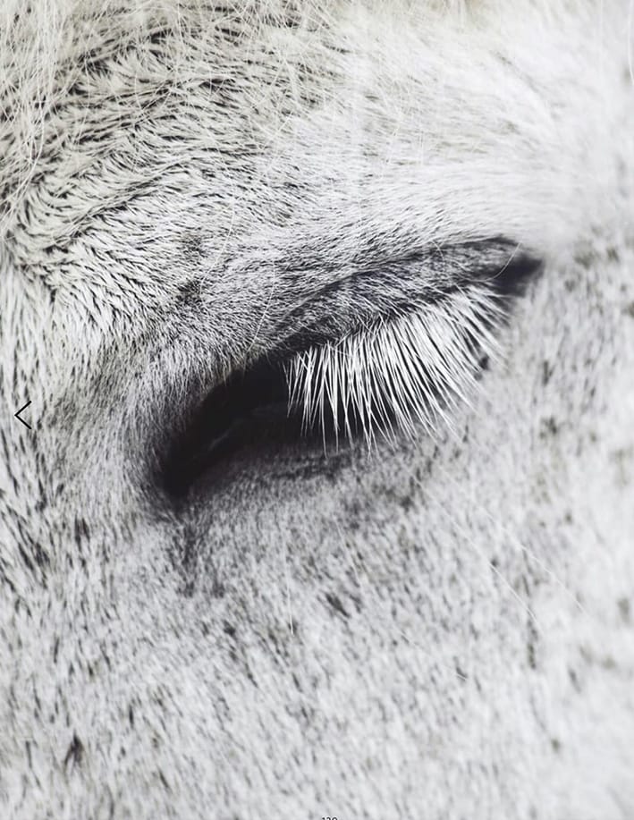 MARZENA SKUBATZ PHOTOGRAPHY