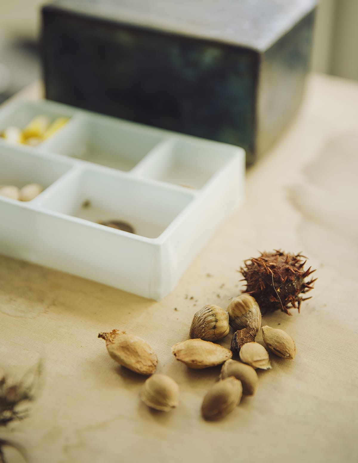 MARZENA SKUBATZ PHOTOGRAPHY