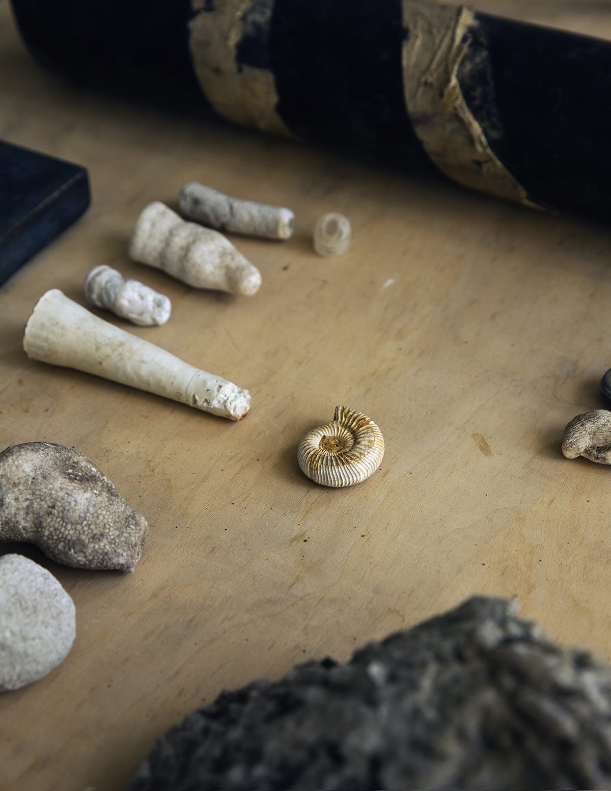 MARZENA SKUBATZ PHOTOGRAPHY