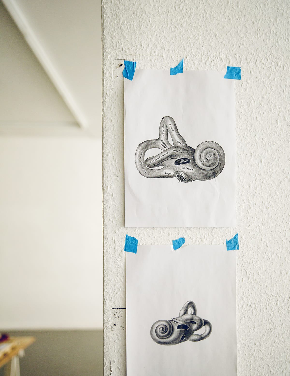 MARZENA SKUBATZ PHOTOGRAPHY