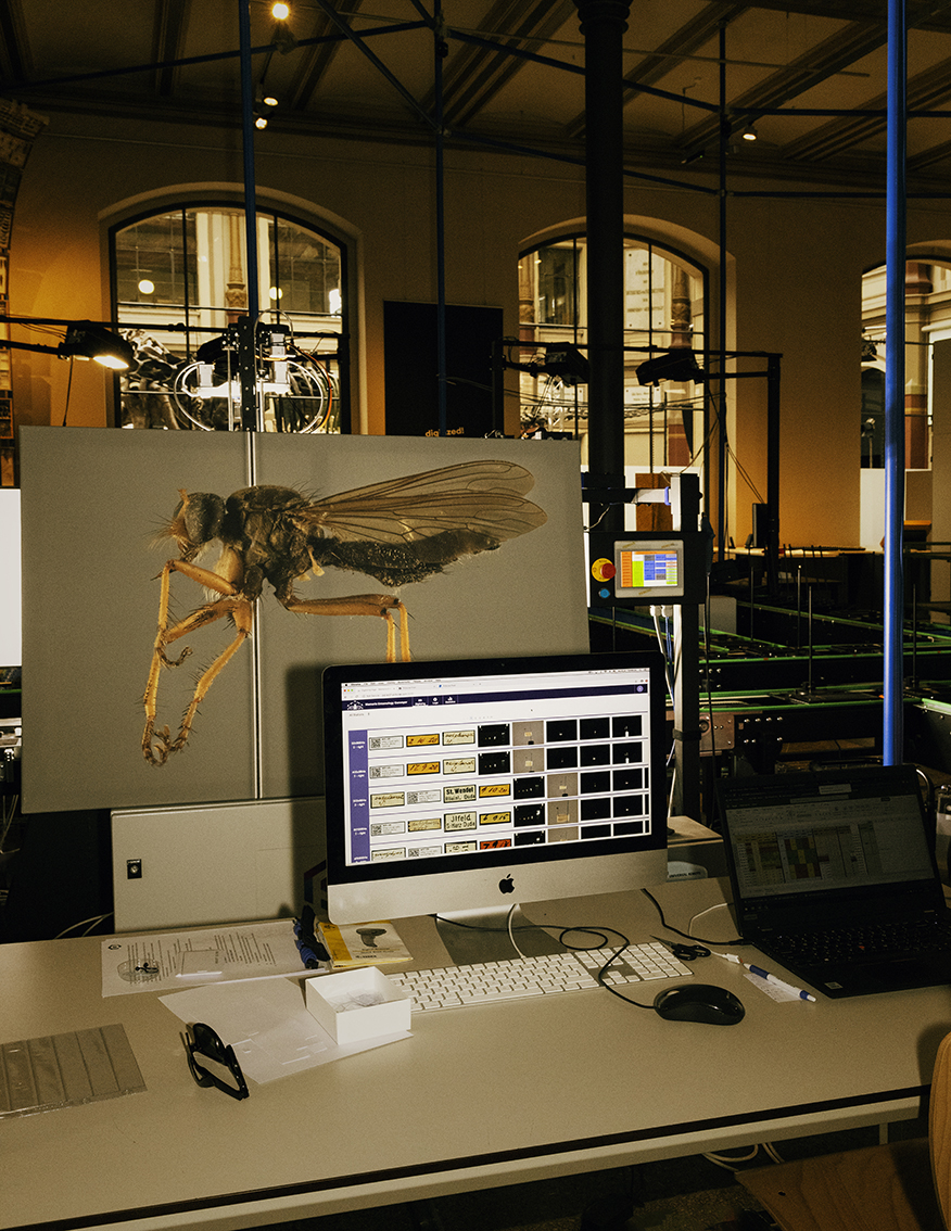 MARZENA SKUBATZ PHOTOGRAPHY