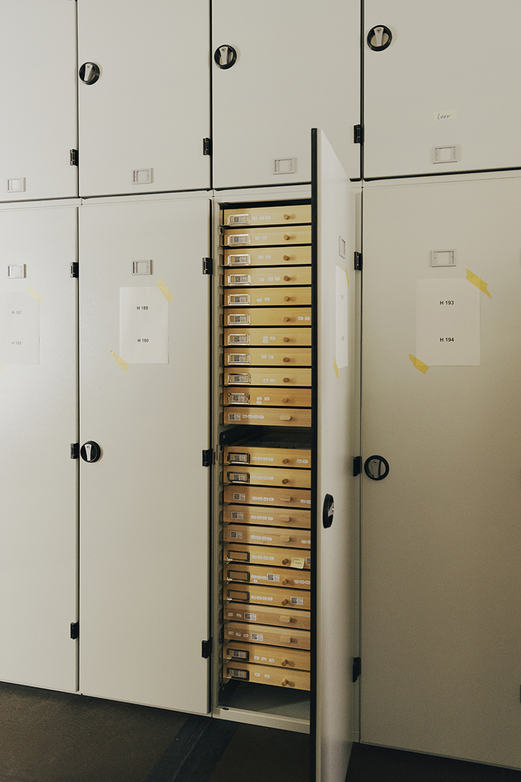 MARZENA SKUBATZ PHOTOGRAPHY