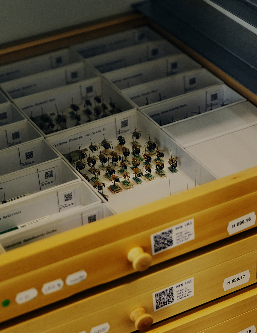 MARZENA SKUBATZ PHOTOGRAPHY