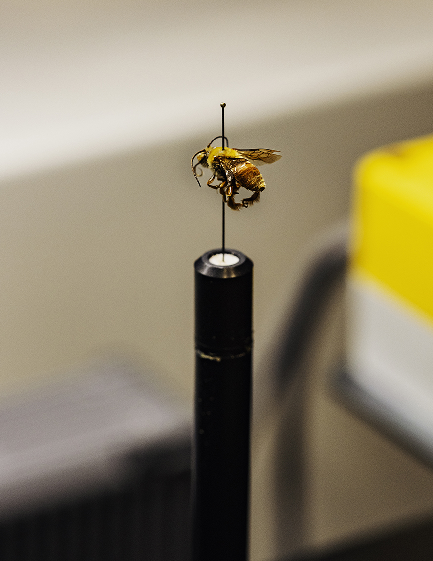 MARZENA SKUBATZ PHOTOGRAPHY