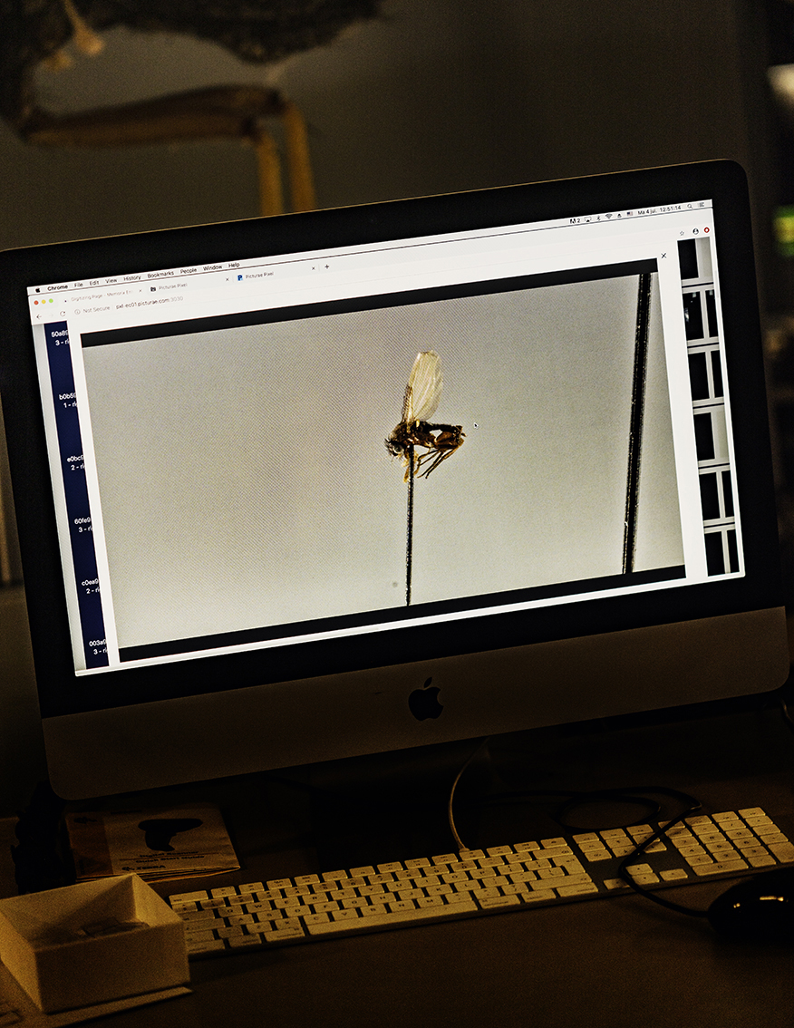 MARZENA SKUBATZ PHOTOGRAPHY