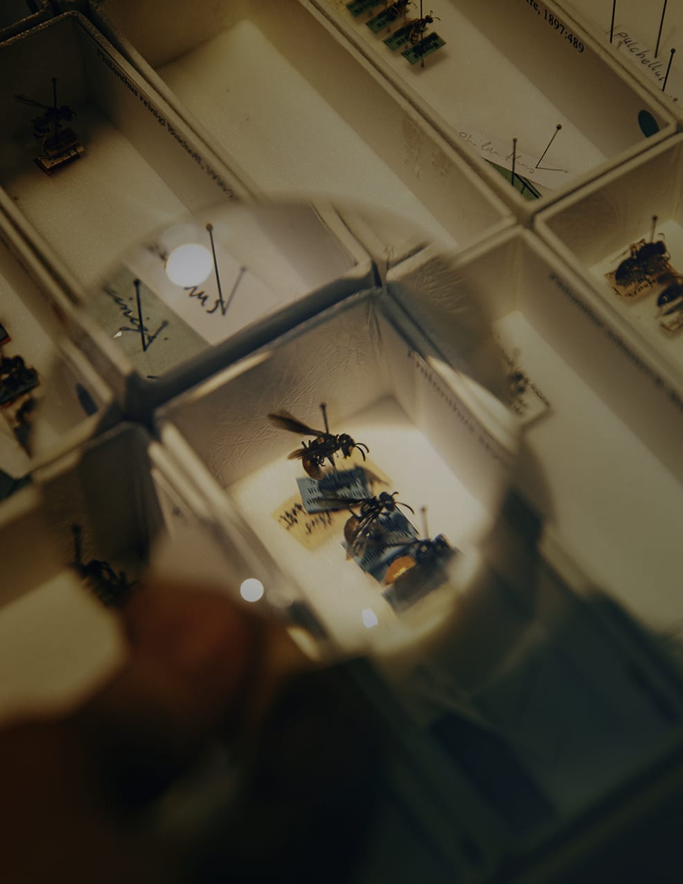 MARZENA SKUBATZ PHOTOGRAPHY