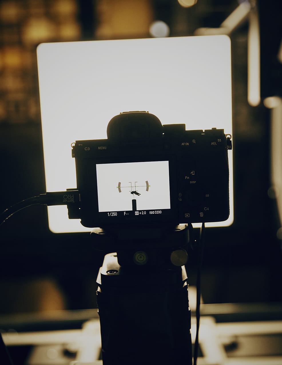 MARZENA SKUBATZ PHOTOGRAPHY