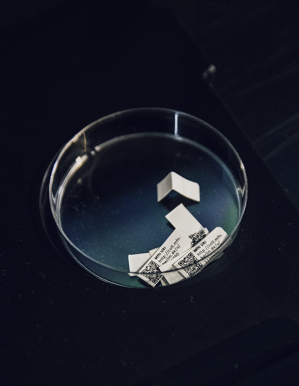 MARZENA SKUBATZ PHOTOGRAPHY