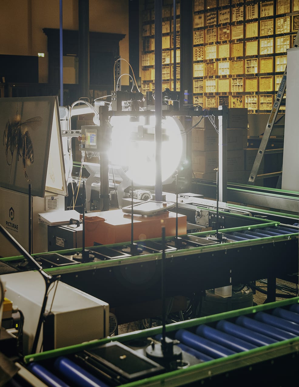 MARZENA SKUBATZ PHOTOGRAPHY