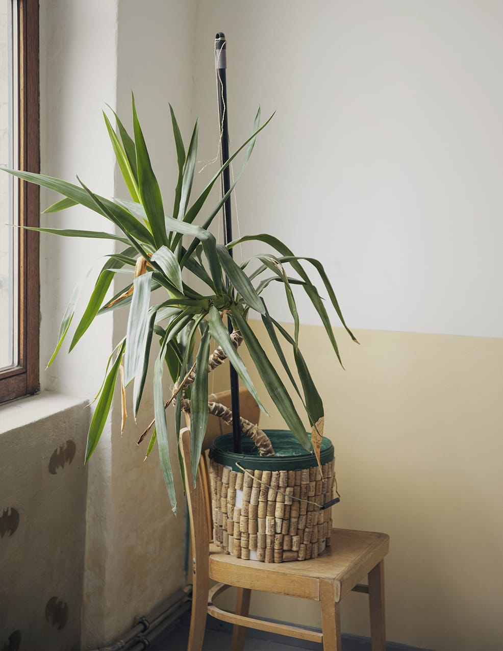 MARZENA SKUBATZ PHOTOGRAPHY