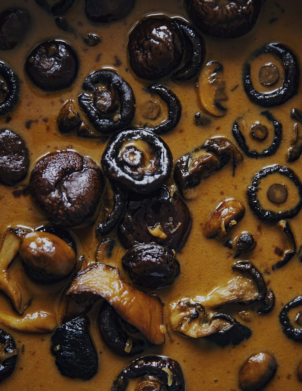 MARZENA SKUBATZ PHOTOGRAPHY