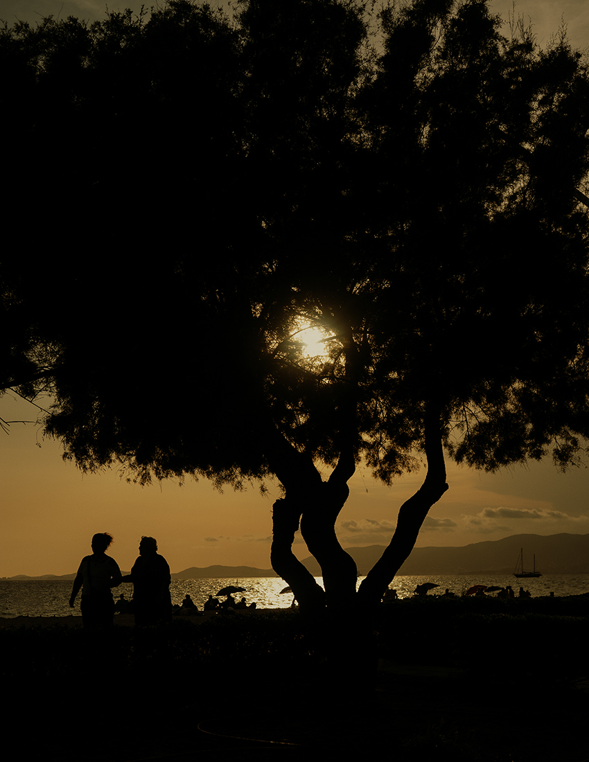 MARZENA SKUBATZ PHOTOGRAPHY