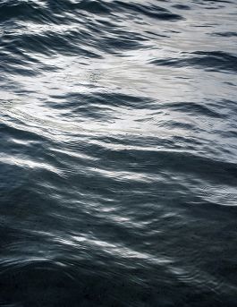 MARZENA SKUBATZ PHOTOGRAPHY