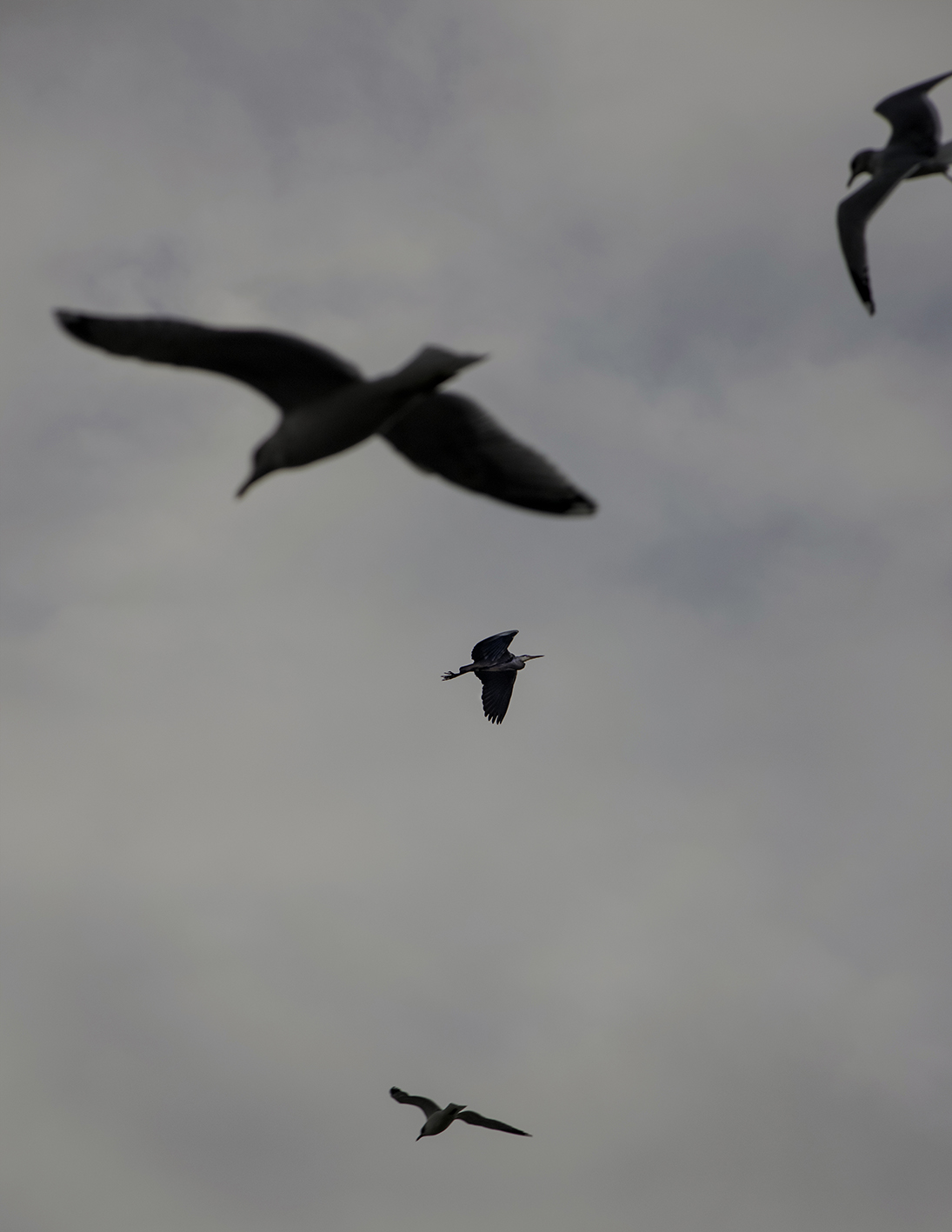 MARZENA SKUBATZ PHOTOGRAPHY