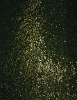 MARZENA SKUBATZ PHOTOGRAPHY