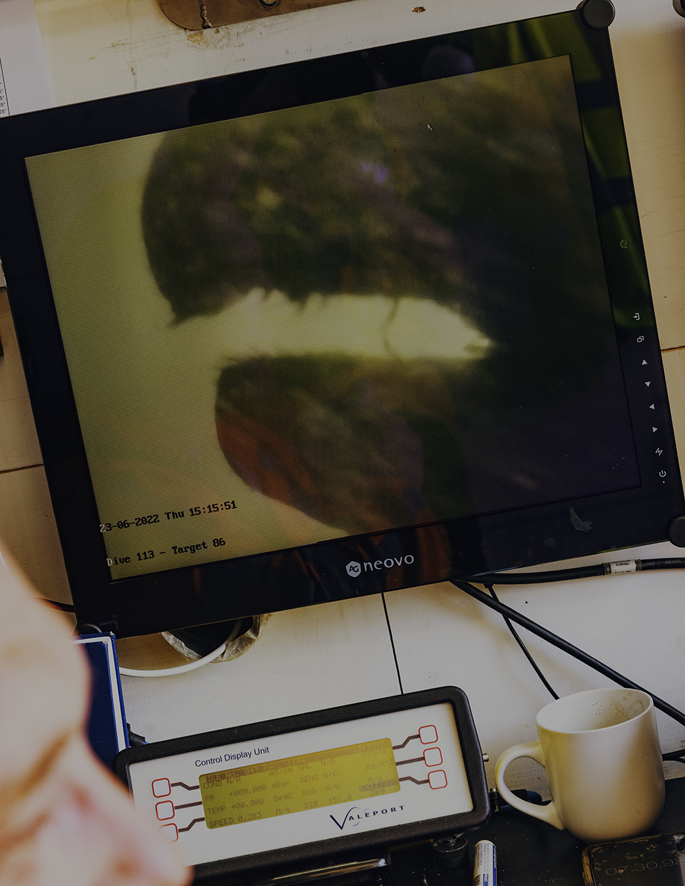 MARZENA SKUBATZ PHOTOGRAPHY