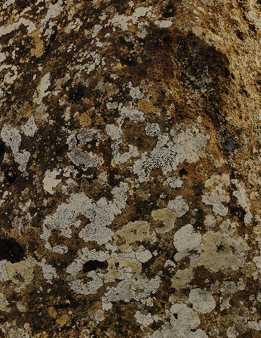 MARZENA SKUBATZ PHOTOGRAPHY