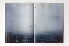 MARZENA SKUBATZ PHOTOGRAPHY