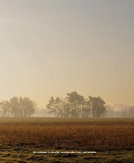 MARZENA SKUBATZ PHOTOGRAPHY