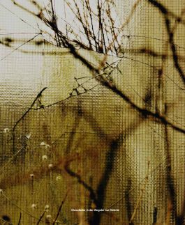 MARZENA SKUBATZ PHOTOGRAPHY